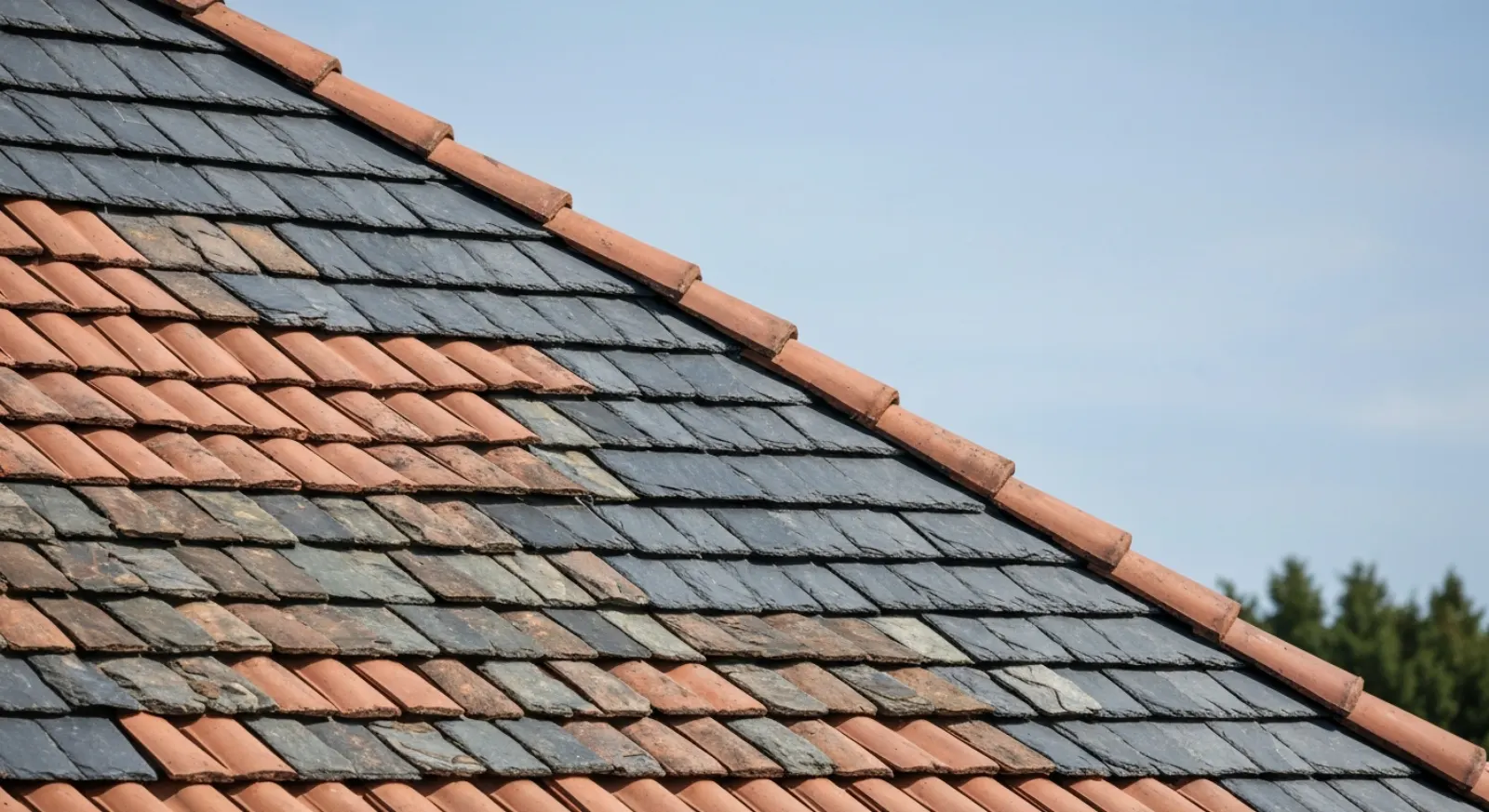 Démoussage de toiture : pourquoi et à quelle fréquence le faire ?