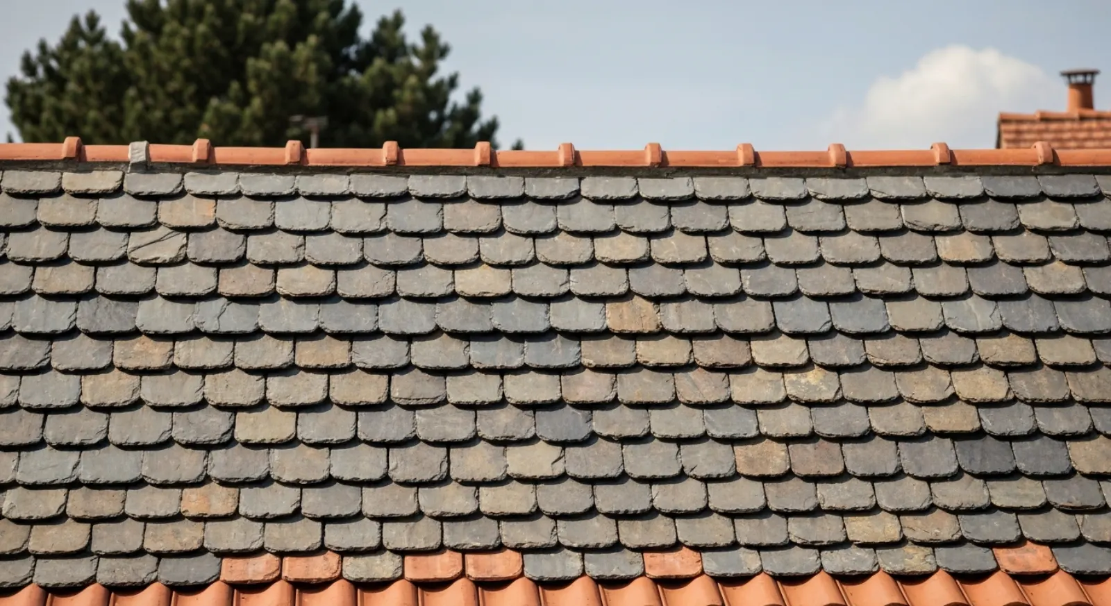 Oiseaux et nuisibles sous la toiture : que faire ?